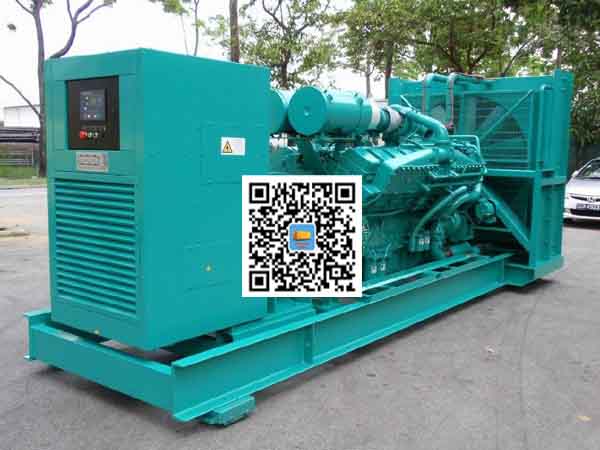 札达租赁发电机-康明斯发电机性价比还是比较高的