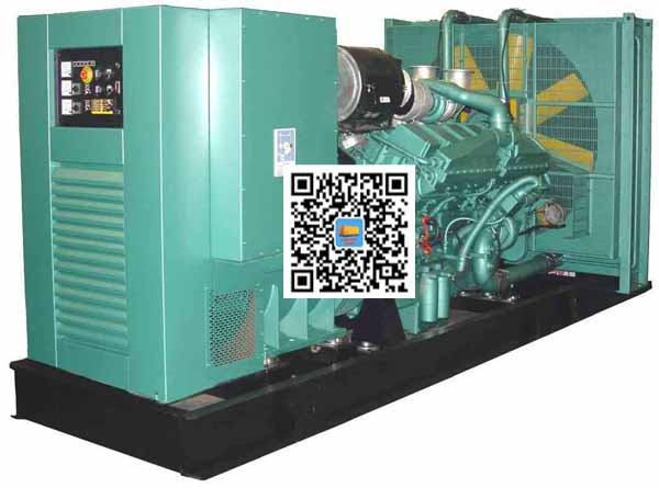 札达笼型异步发电机的电力电子控制技术